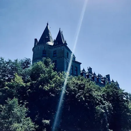 Cote Cour Отель Дюрбюи